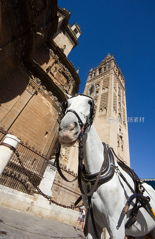 西班牙塞维利亚的La Giralda